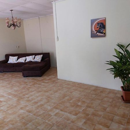 Mi Hogar Apartment Julianadorp Luaran gambar