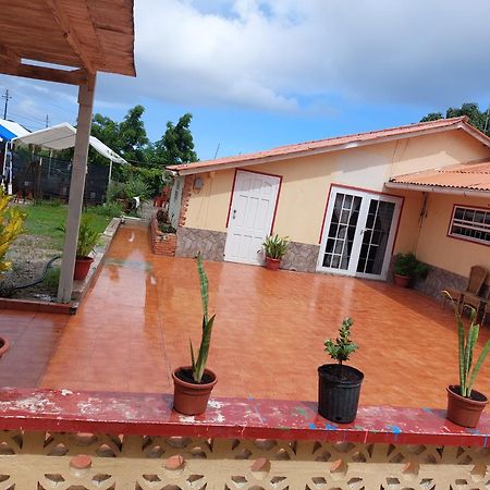 Mi Hogar Apartment Julianadorp Luaran gambar